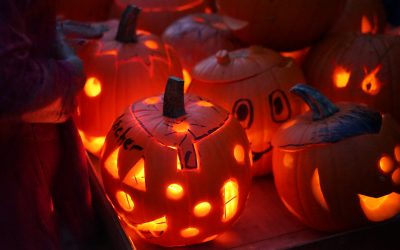 Action beim Kürbisschnitzen