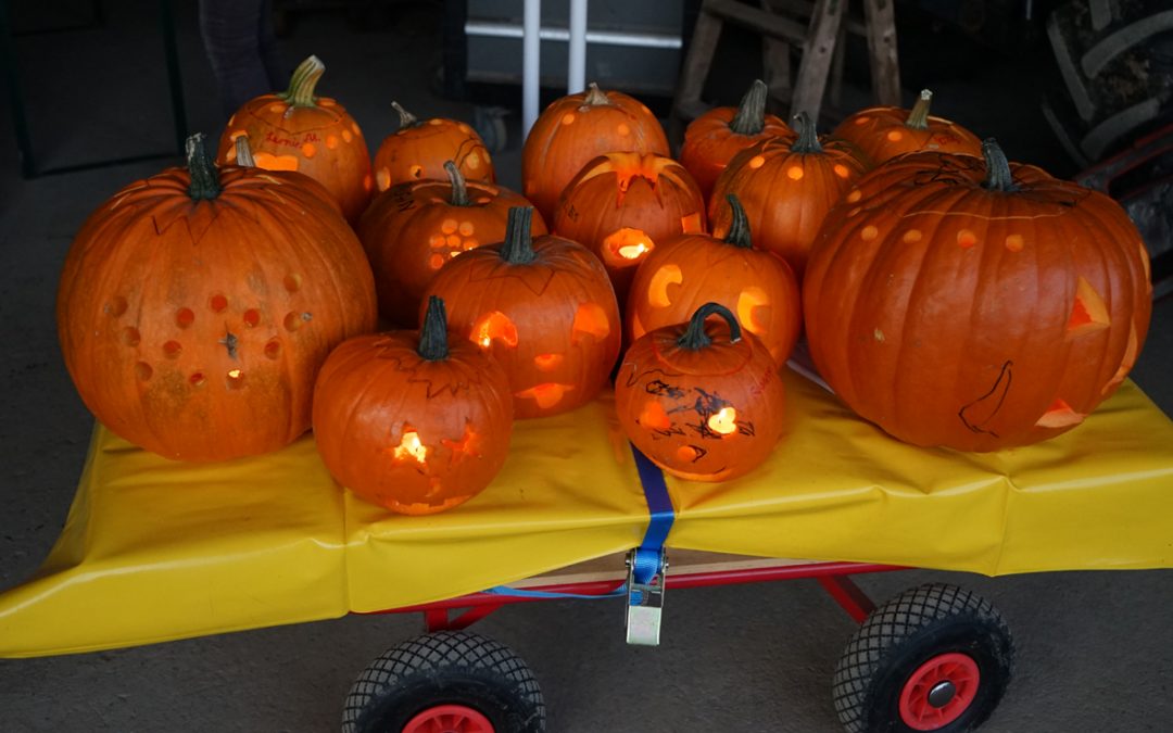 Mit den Kürbisgeistern durch Krummhardt