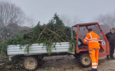 Garten- und Lageraktion im Dezember